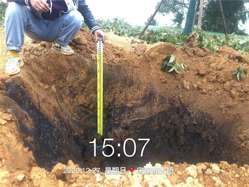 绿化树穴